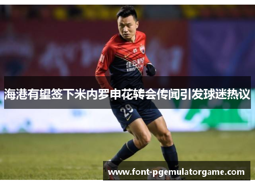 海港有望签下米内罗申花转会传闻引发球迷热议