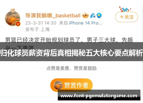 归化球员薪资背后真相揭秘五大核心要点解析