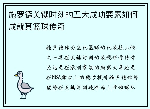 施罗德关键时刻的五大成功要素如何成就其篮球传奇