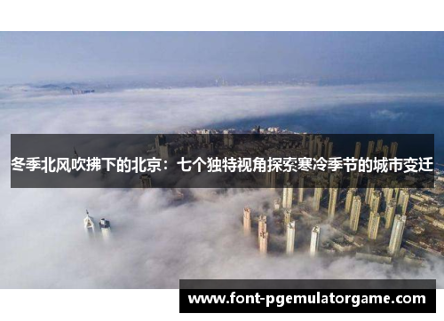 冬季北风吹拂下的北京：七个独特视角探索寒冷季节的城市变迁