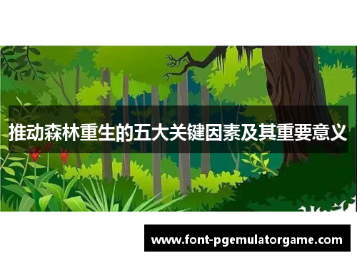 推动森林重生的五大关键因素及其重要意义