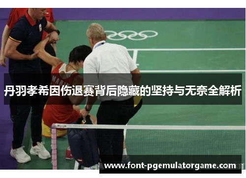 丹羽孝希因伤退赛背后隐藏的坚持与无奈全解析