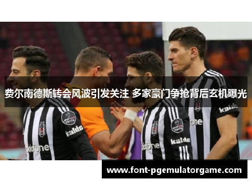 费尔南德斯转会风波引发关注 多家豪门争抢背后玄机曝光