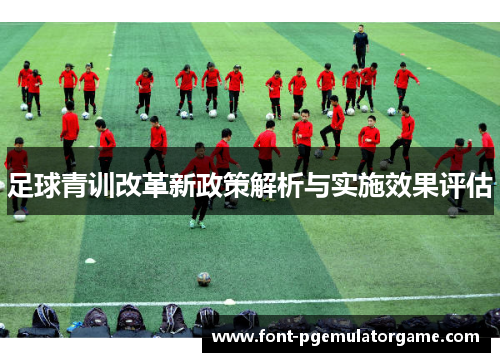 足球青训改革新政策解析与实施效果评估