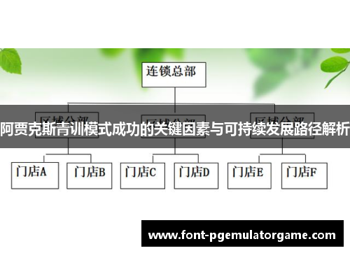 阿贾克斯青训模式成功的关键因素与可持续发展路径解析 阿贾克斯青训模式成功的关键因素与可持续发展路径解析