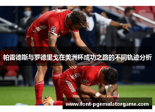 帕雷德斯与罗德里戈在美洲杯成功之路的不同轨迹分析