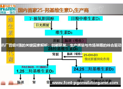 药厂晋级8强的关键因素解析：创新研发、生产质量与市场策略的综合驱动