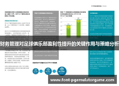 财务管理对足球俱乐部盈利性提升的关键作用与策略分析